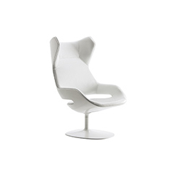 进化休闲椅 evolution lounge chair